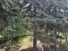 Fejér megye - Velence