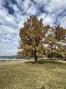 Fejér megye - Velence