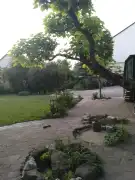 Pest megye - Visegrád