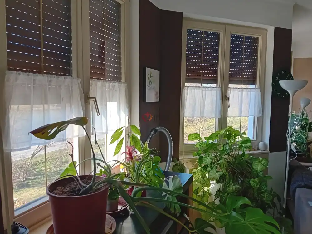 Zala megye - Zalacsány