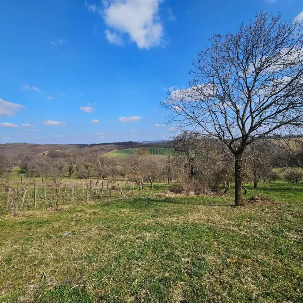 Zala megye - Zalaegerszeg