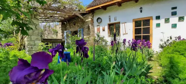 Eladó családi ház, Zebegény 5+3 szoba 247 m² 179.9 M Ft