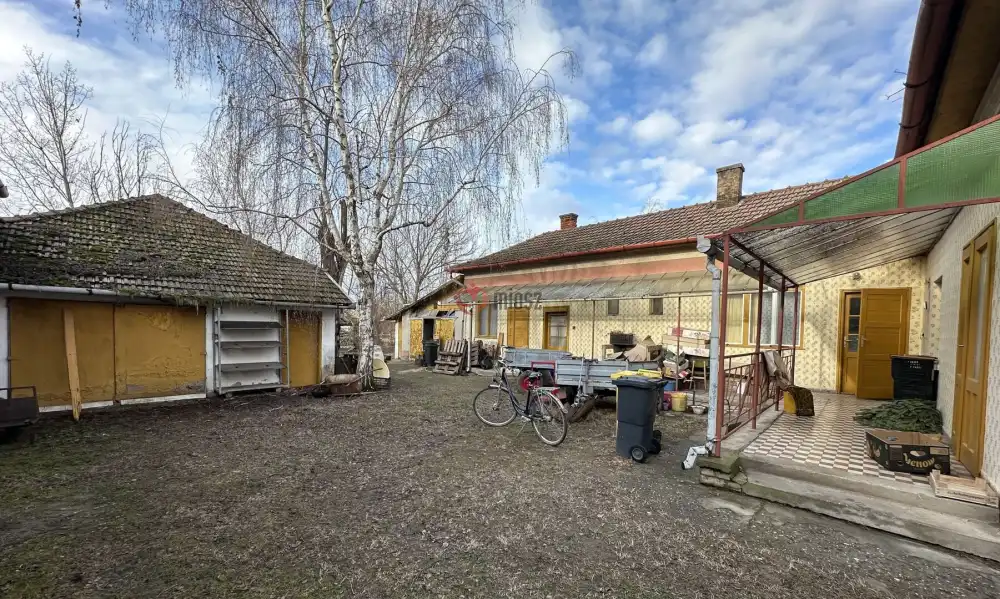 Csongrád megye - Zsombó