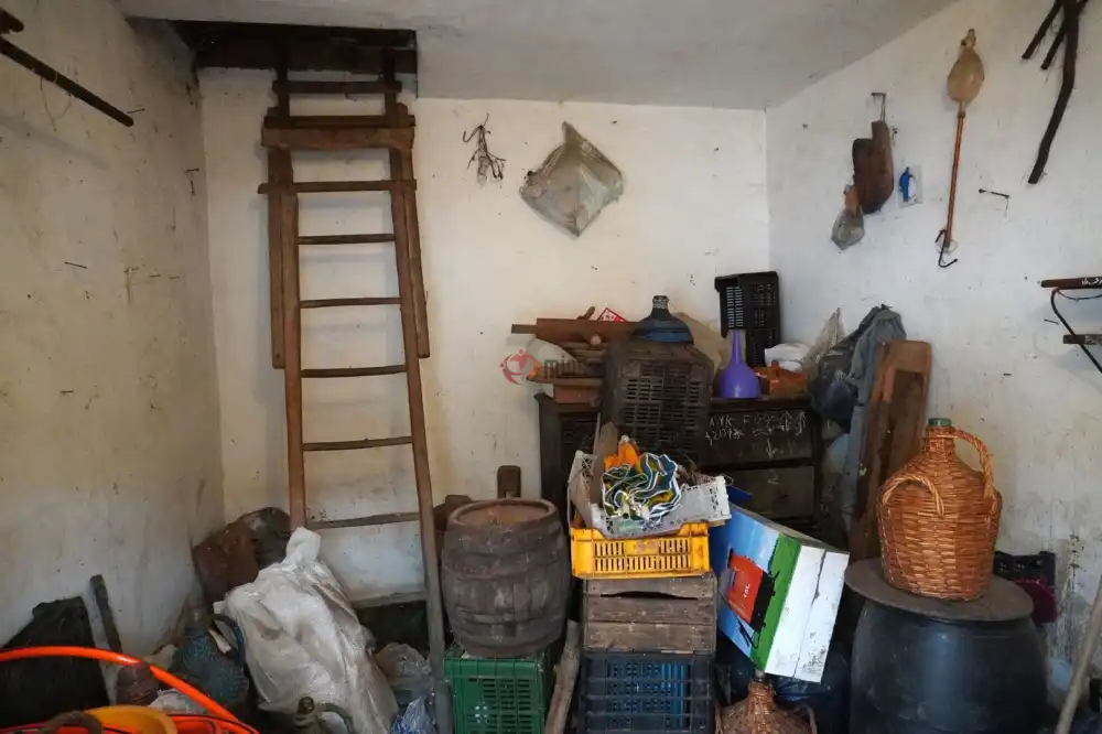 Csongrád megye - Zsombó