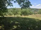 Borsod-Abaúj-Zemplén megye - Zsujta