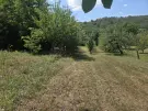Borsod-Abaúj-Zemplén megye - Zsujta