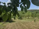 Borsod-Abaúj-Zemplén megye - Zsujta