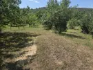 Borsod-Abaúj-Zemplén megye - Zsujta
