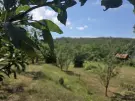 Borsod-Abaúj-Zemplén megye - Zsujta
