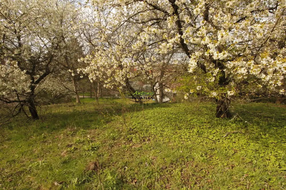 Győr-Moson-Sopron megye - Ágfalva