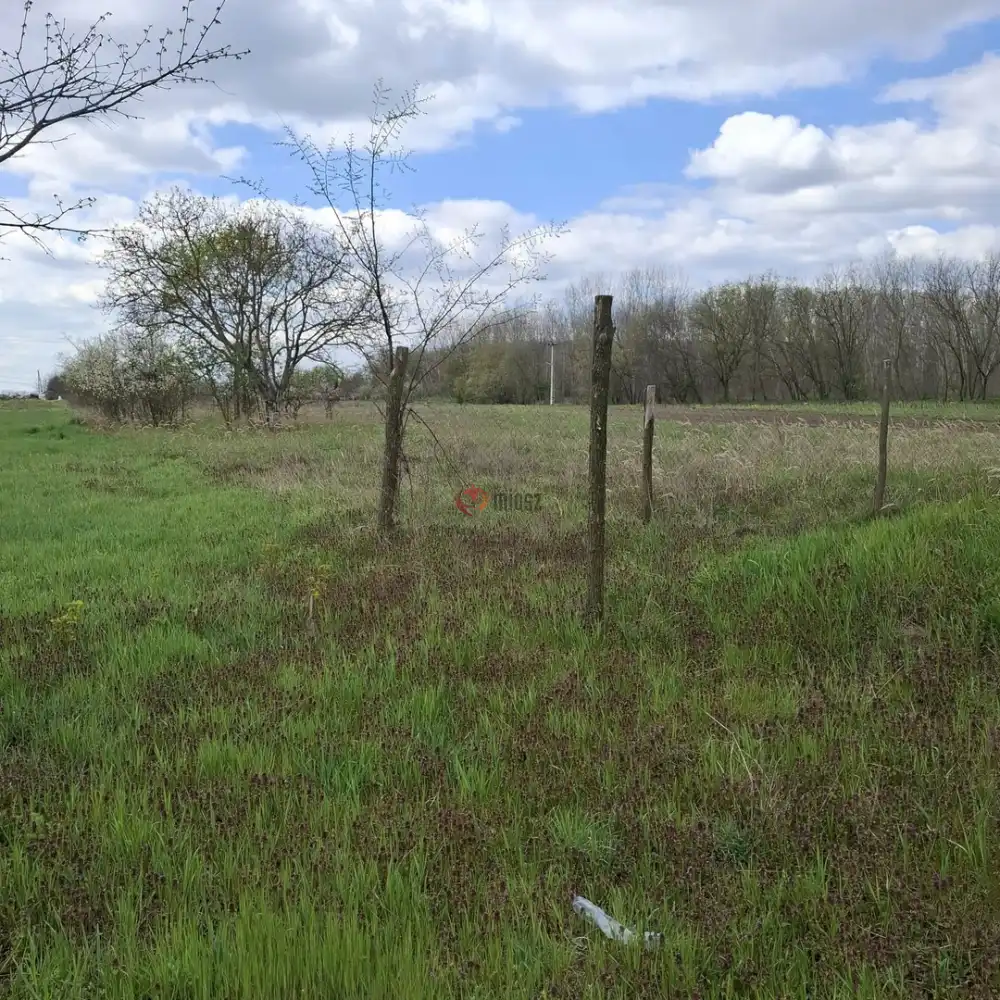 Pest megye - Albertirsa