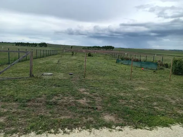 Eladó Építési telek, Balatonszabadi 790 m² 26 M Ft