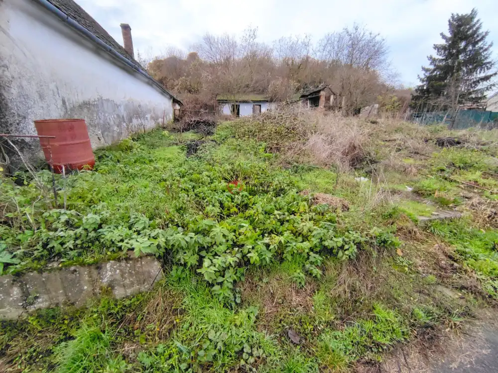 Baranya megye - Bár