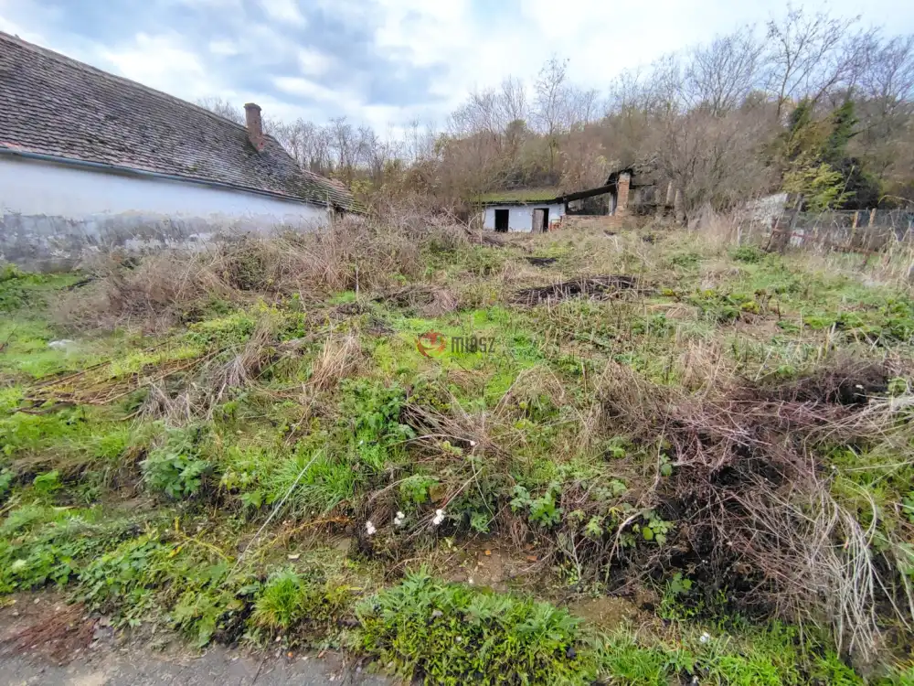 Baranya megye - Bár