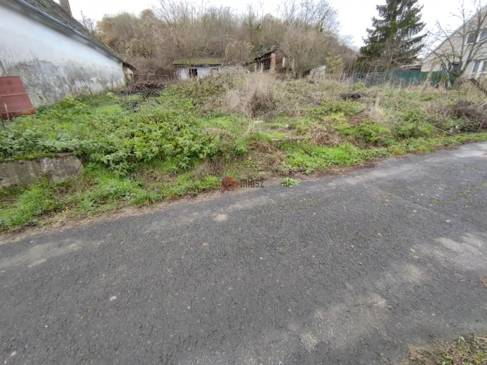 Baranya megye - Bár