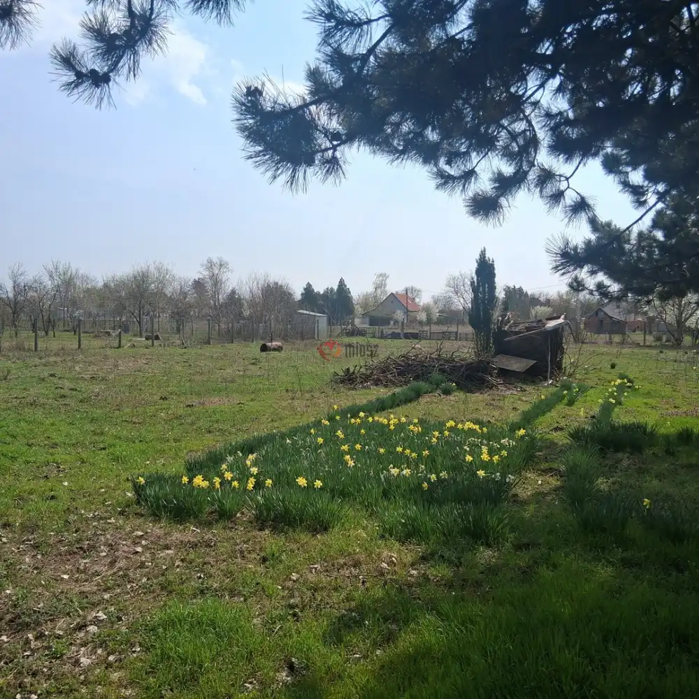 Békés megye - Békéscsaba