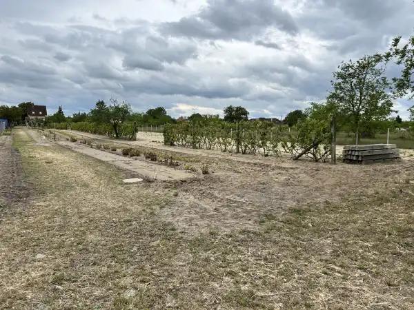Eladó Építési telek, Csévharaszt 2672 m² 24 M Ft
