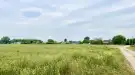Pest megye - Dabas