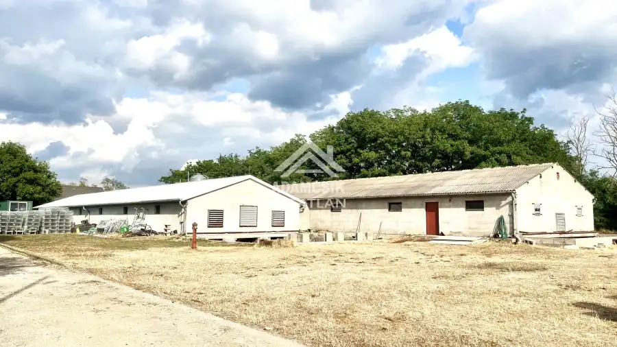 eladó  Építési telek, Dabas