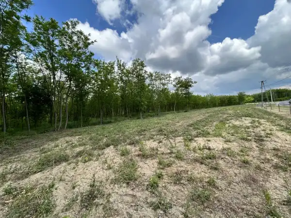 Eladó Építési telek, Dabas 1192 m² 16 M Ft