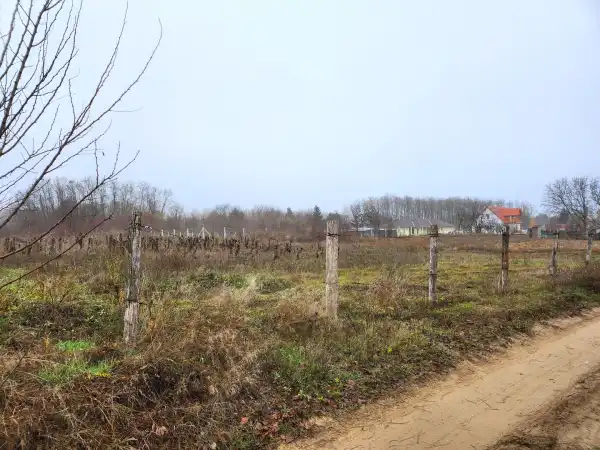 Eladó Építési telek, Dabasiszőlők 763 m² 13 M Ft