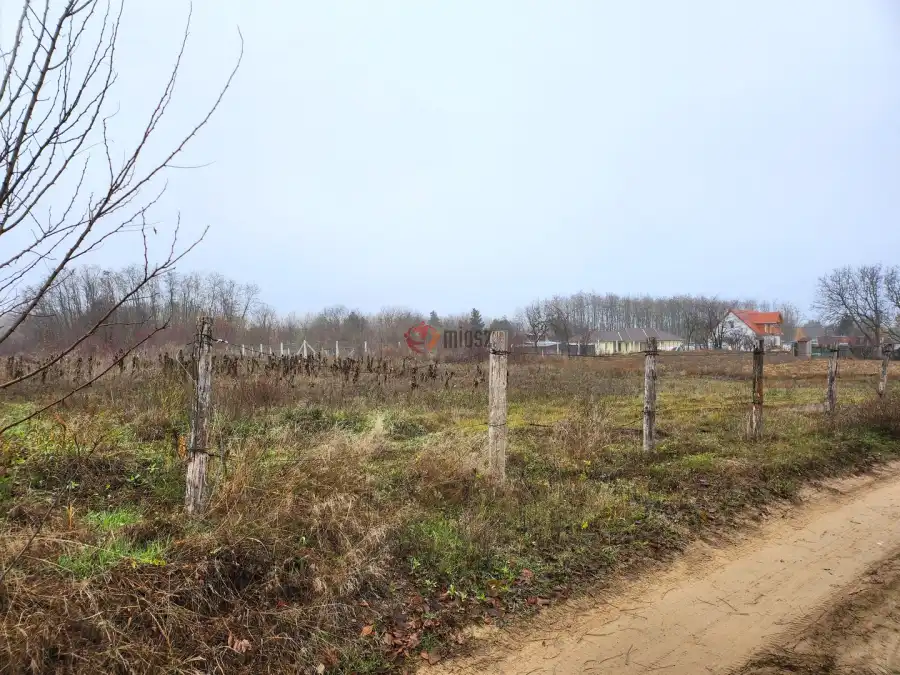 eladó  Építési telek, Dabasiszőlők