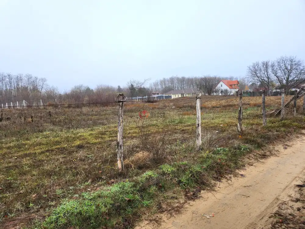 Pest megye - Dabasiszőlők