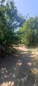 Pest megye - Diósd