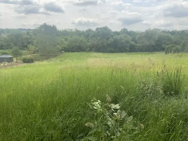 Eladó Építési telek, Erdőkürt 1620 m² 5.5 M Ft