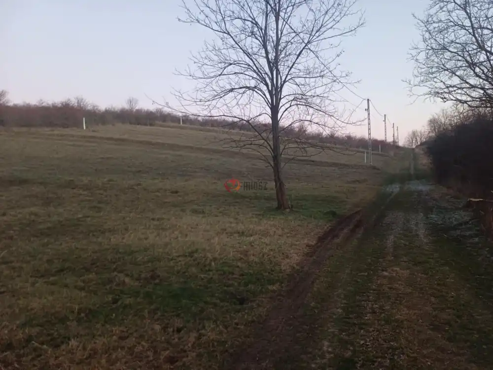 Nógrád megye - Erdőkürt