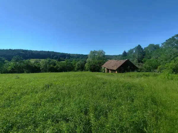 Eladó Építési telek, Farkasfa 27576 m² 35 M Ft