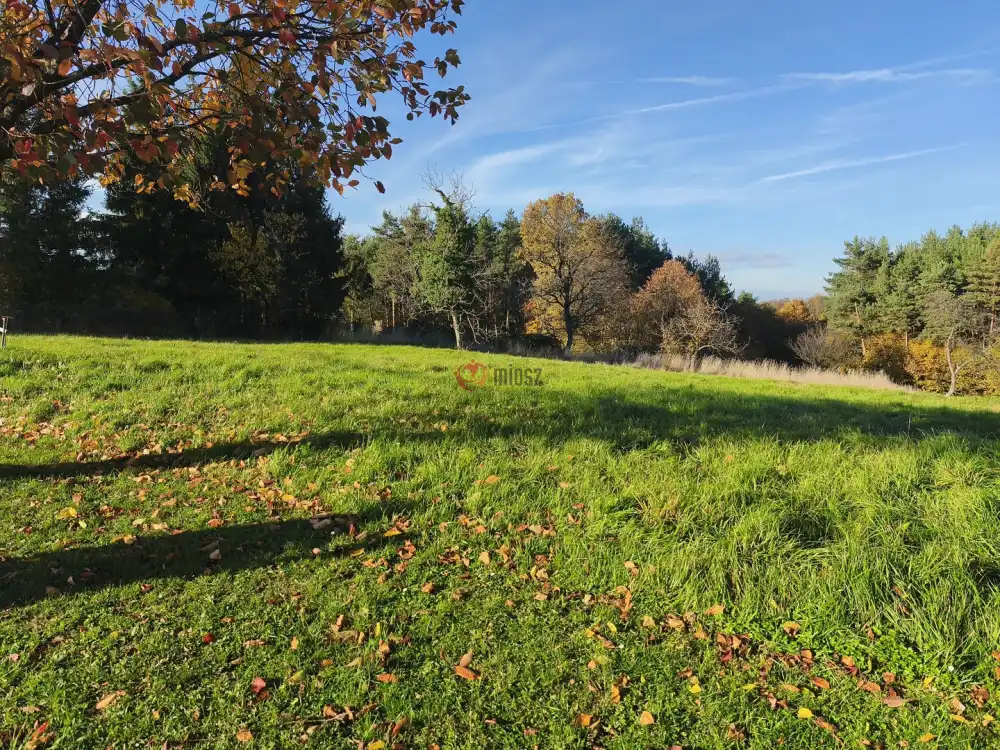 Zala megye - Gosztola