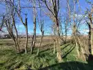 Pest megye - Inárcs