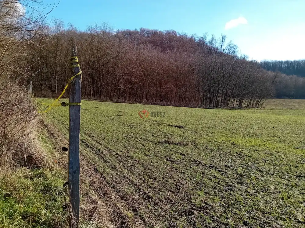 Zala megye - Kisbucsa