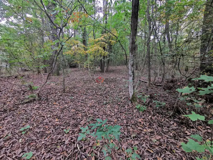 eladó  Építési telek, Kismaros