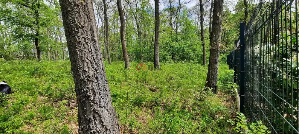 Pest megye - Kismaros