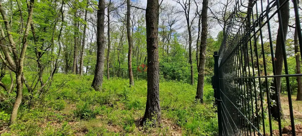 Pest megye - Kismaros