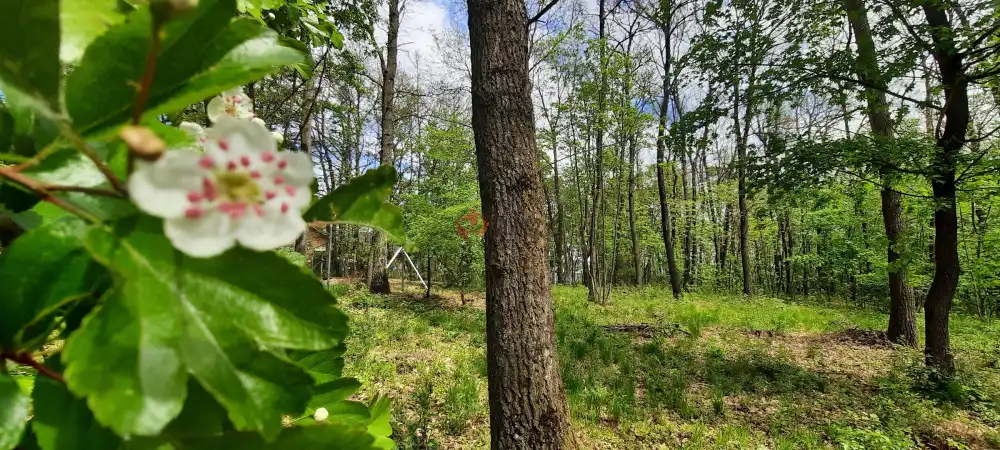 Pest megye - Kismaros