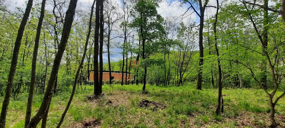 Pest megye - Kismaros