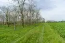 Komárom-Esztergom megye - Kömlőd