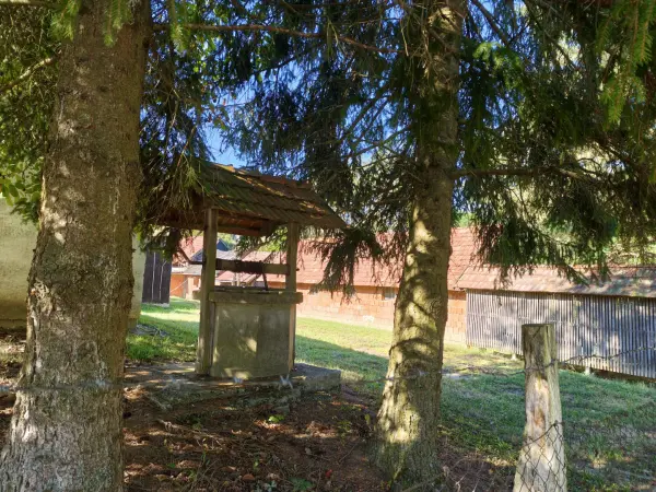 Eladó Építési telek, Kustánszeg 5208 m² 22.9 M Ft