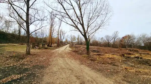 Eladó Építési telek, Martonvásár 1571 m² 46.81 M Ft + Áfa