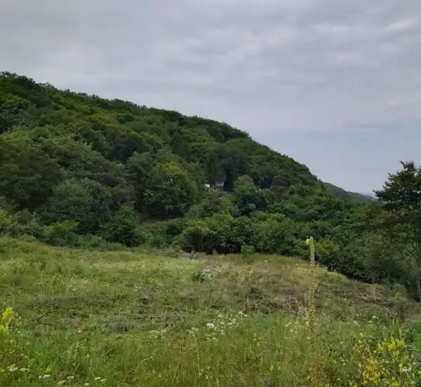 Eladó Építési telek, Mátrakeresztes 711 m² 7.99 M Ft