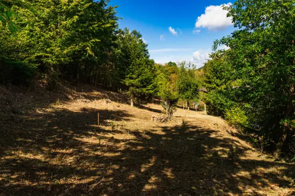 Eladó Építési telek, Mátrakeresztes 598 m² 11.9 M Ft