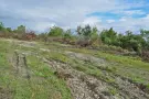 Borsod-Abaúj-Zemplén megye - Miskolc