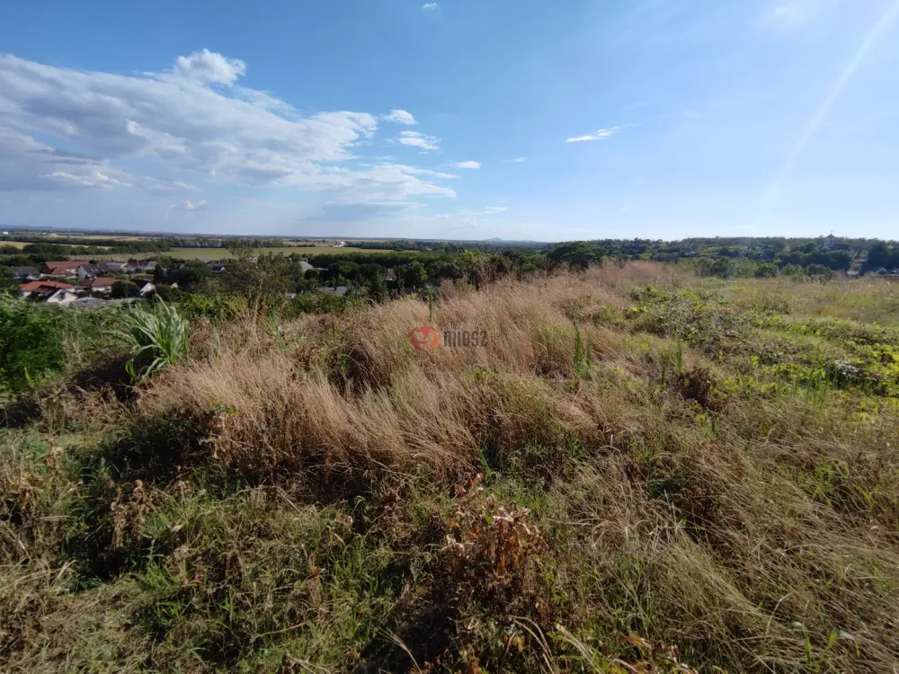 Baranya megye - Mohács