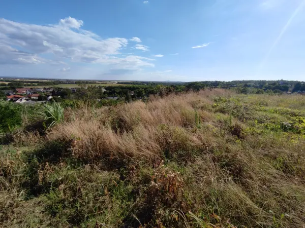 Eladó Építési telek, Mohács 4026 m² 20 M Ft