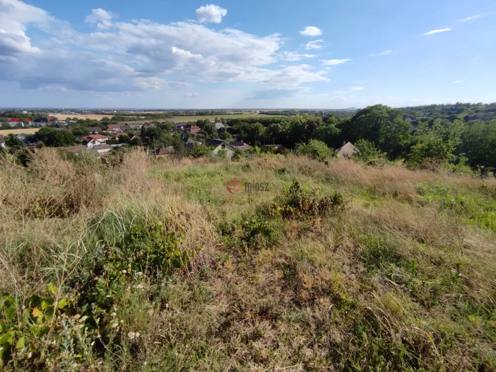 Baranya megye - Mohács
