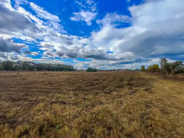 Eladó Építési telek, Örkény 133025 m² 350 M Ft