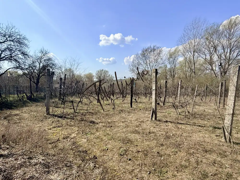 Komárom-Esztergom megye - Oroszlány